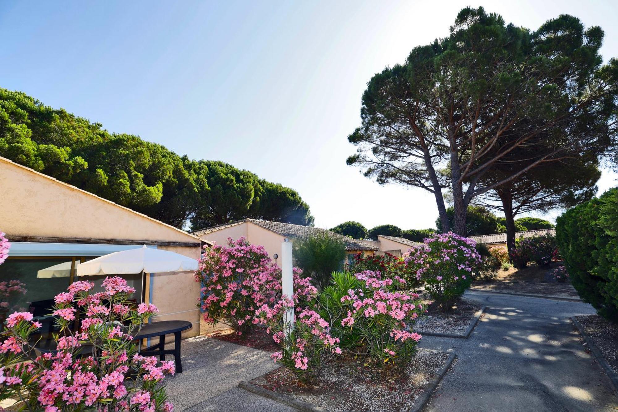 Village Vacances De Ramatuelle - Le Sentier Des Pins Zewnętrze zdjęcie